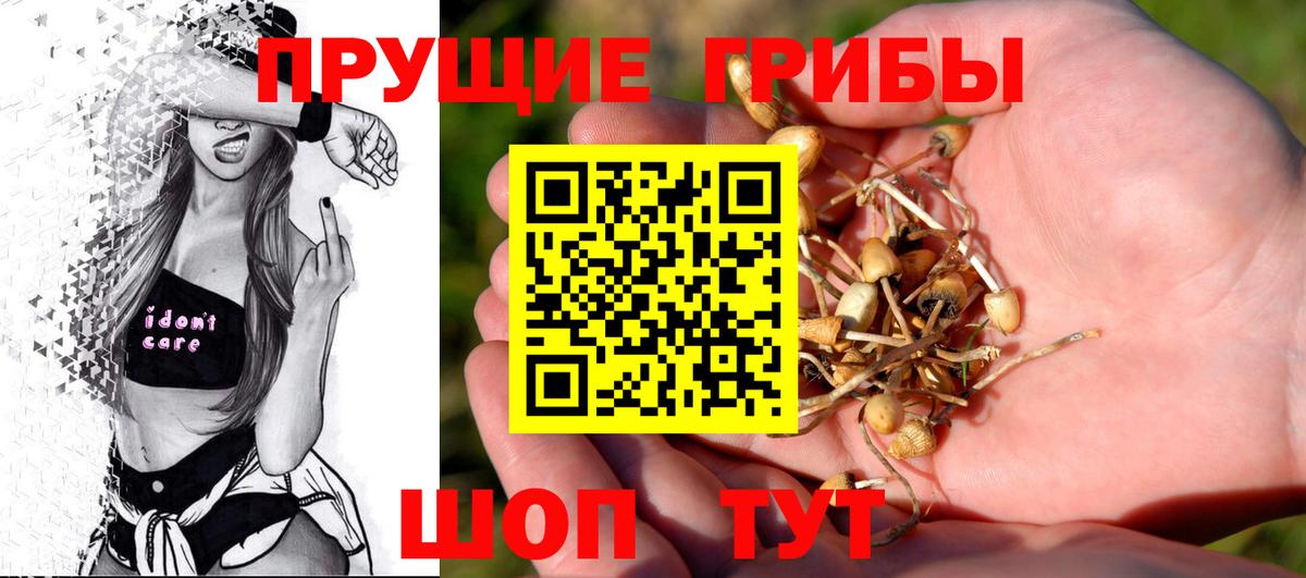 Котлас  Псилоцибиновые грибы Psilocybe  Вход с VPN  Галлюциногенные грибы Psilocybe 