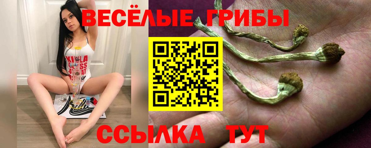 Псилоцибиновые грибы Magic Shrooms Котлас